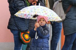 Faschingsumzug 2023 (Fotos Rochus Hetzendorfer)